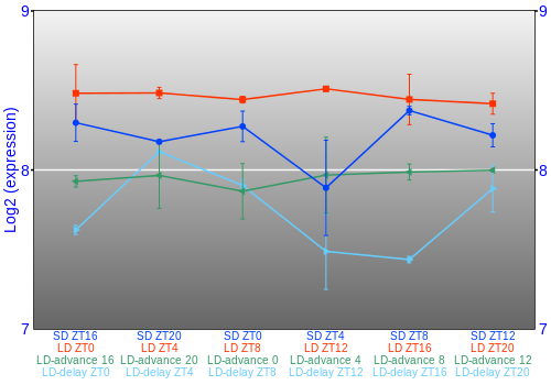 Expression graph