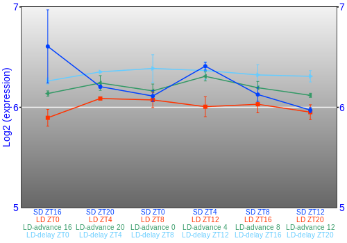 Expression graph