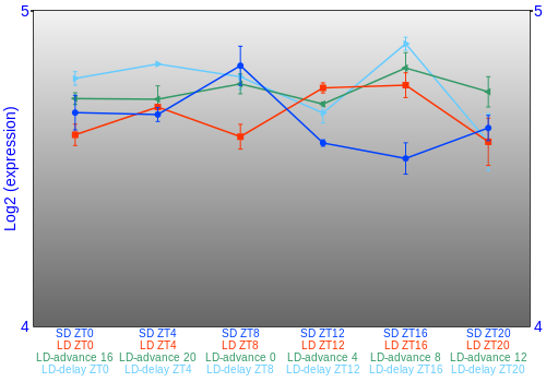 Expression graph
