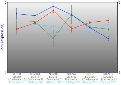 Expression graph