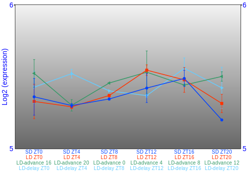 Expression graph