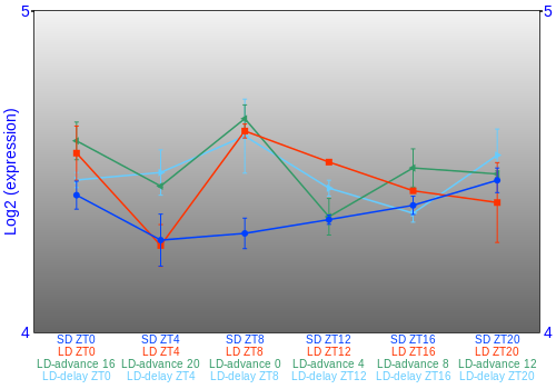 Expression graph