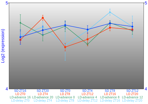 Expression graph