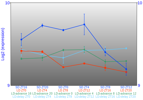 Expression graph