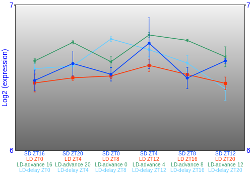 Expression graph