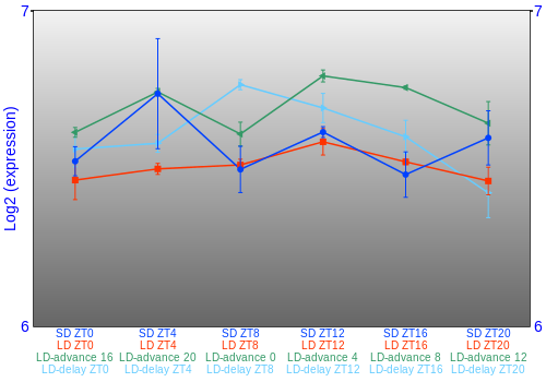 Expression graph