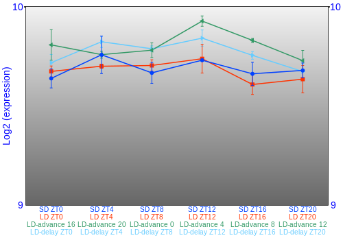 Expression graph