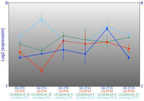 Expression graph