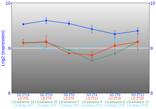 Expression graph