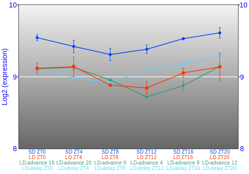 Expression graph