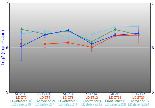 Expression graph