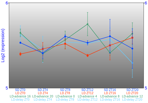 Expression graph