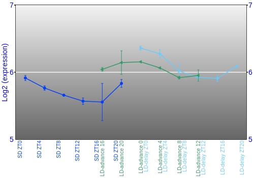 Expression graph