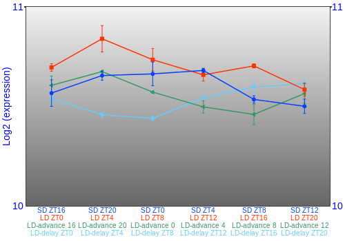 Expression graph