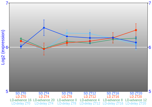 Expression graph