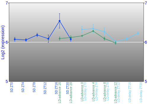 Expression graph