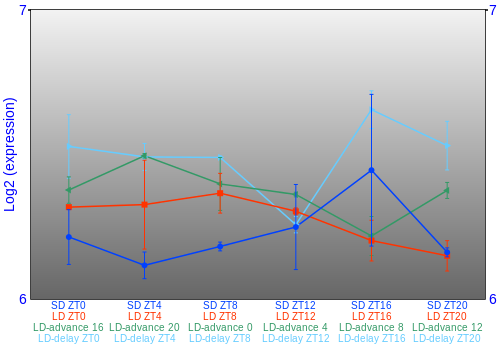 Expression graph