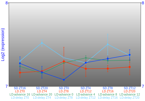 Expression graph