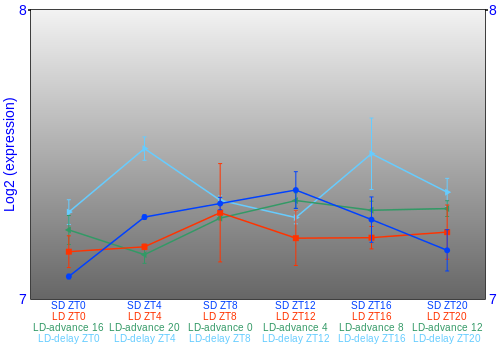 Expression graph