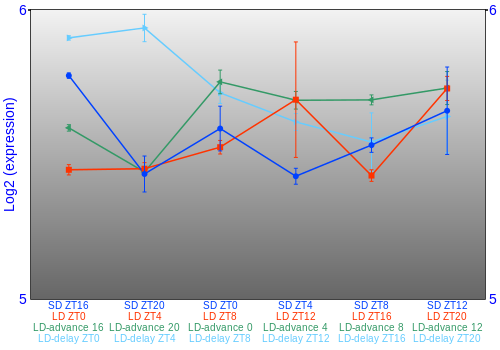 Expression graph
