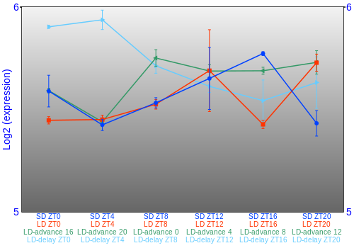 Expression graph