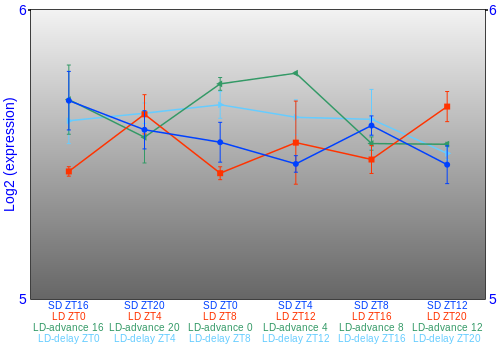Expression graph
