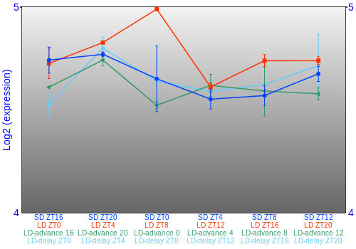 Expression graph