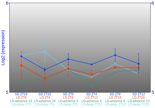 Expression graph