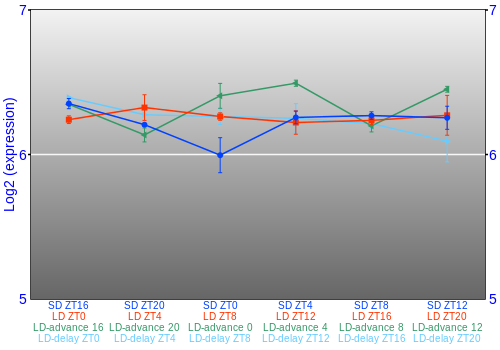 Expression graph