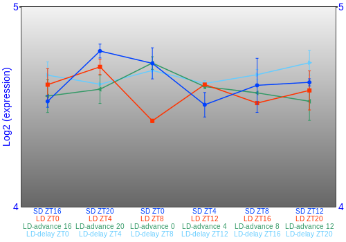 Expression graph