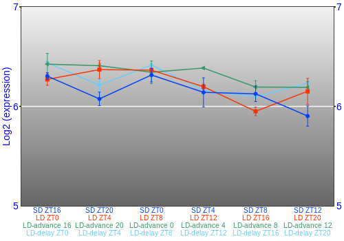 Expression graph