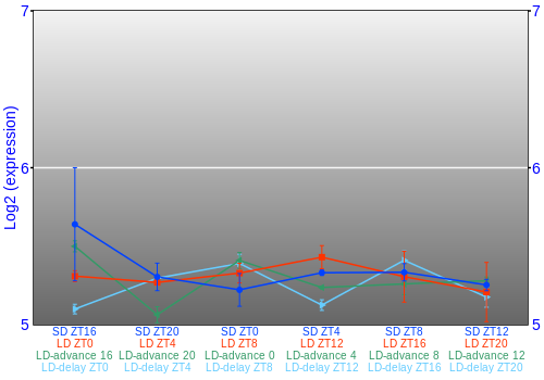 Expression graph