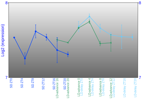 Expression graph