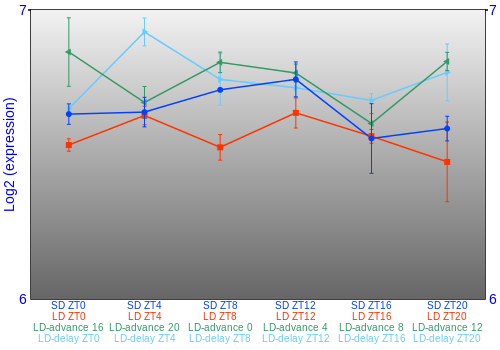 Expression graph
