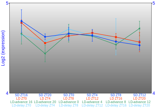 Expression graph