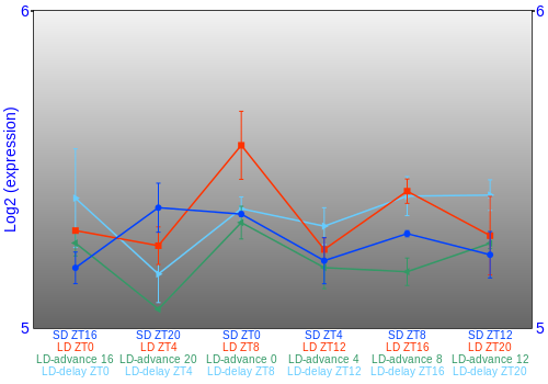 Expression graph