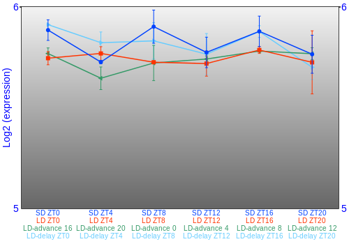 Expression graph