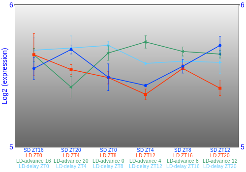 Expression graph