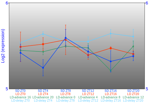 Expression graph