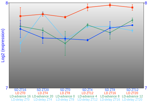 Expression graph