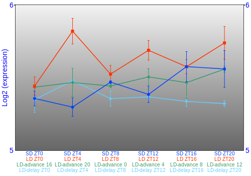 Expression graph