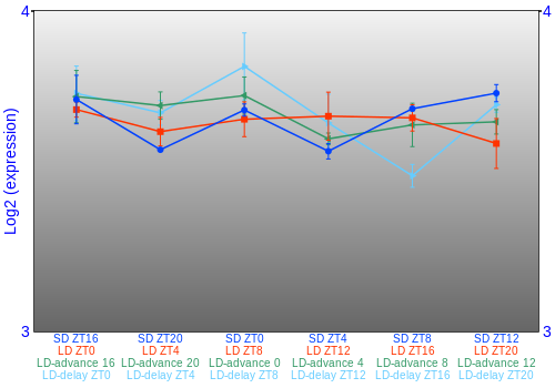 Expression graph