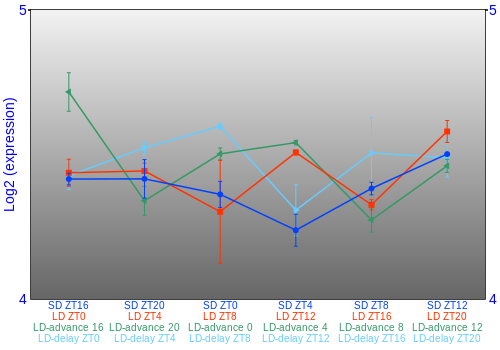 Expression graph