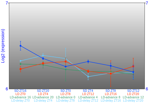 Expression graph