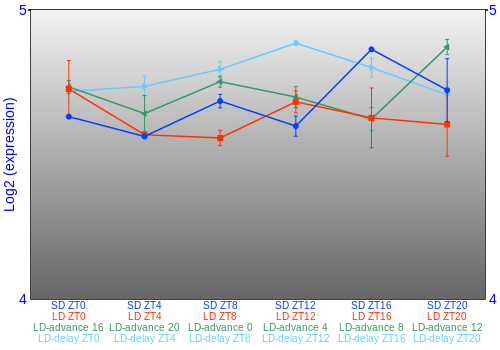 Expression graph
