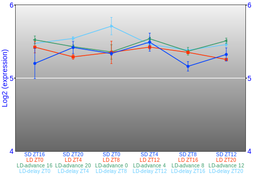 Expression graph