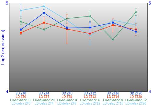 Expression graph