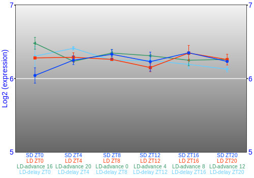 Expression graph