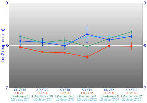 Expression graph