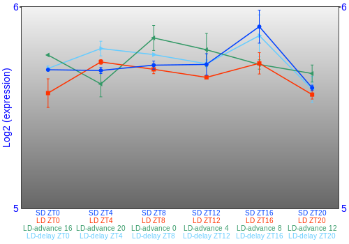Expression graph